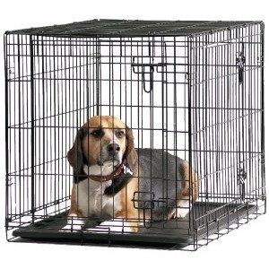 cage-metallique-pour-chien