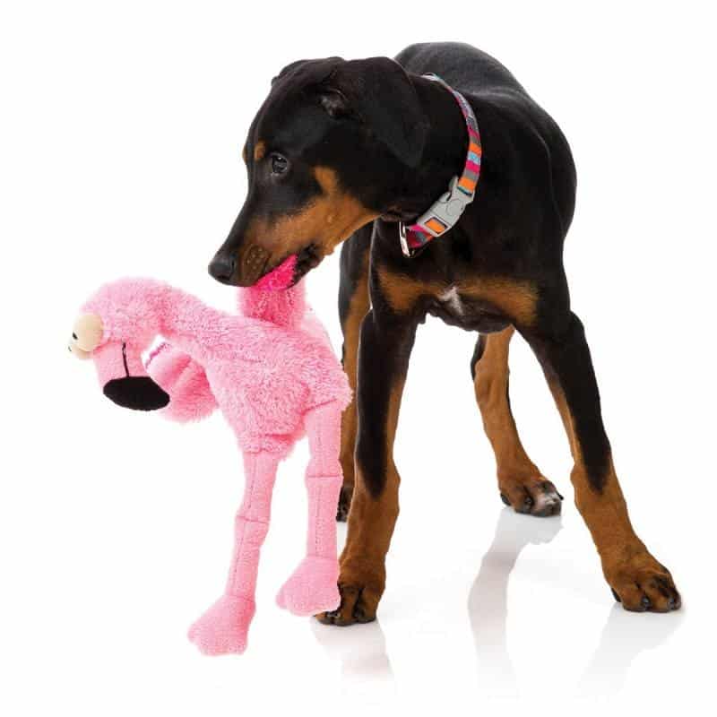 peluche pour chien tres resistant