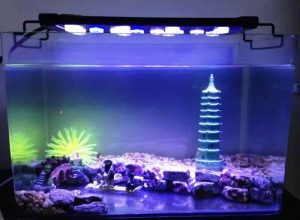 choisir-lampe-aquarium-2