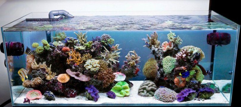 Decoration Aquarium Lumineuse Decoration Aquarium Lumineuse