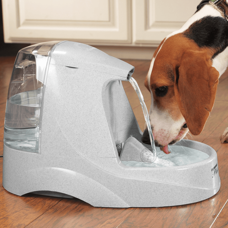 Fontaine à eau pour chien Jardingue