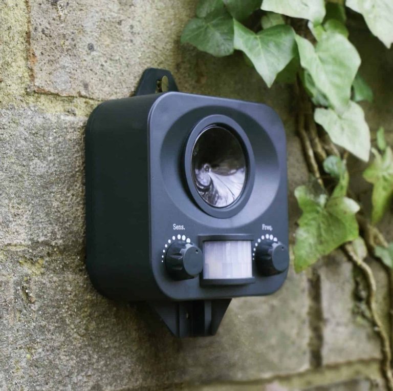 Répulsif chat efficace et pas cher Jardingue