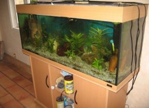 utilisation-pompe-aquarium
