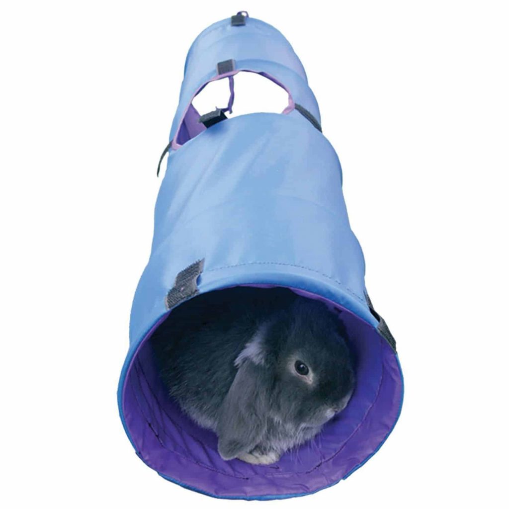 Jouet Et Jeux Speciaux Lapin Jardingue