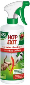bsi-hot-exit-3