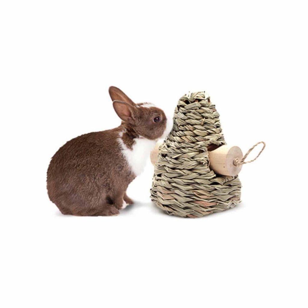 Rosewood Boredom Breaker Tunnel et Jouet dActivit/é pour lapin