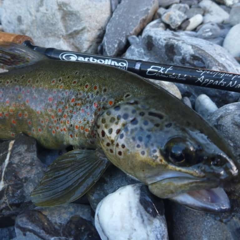 Canne garbolino truite Clearance