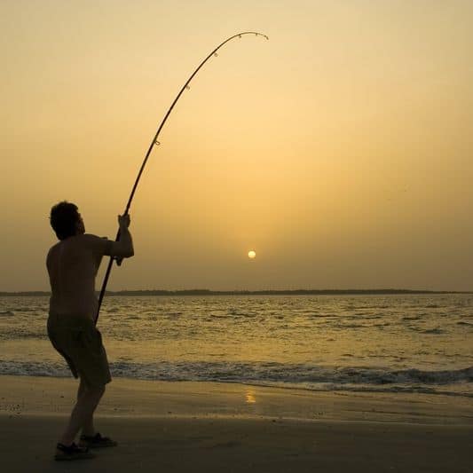 Pêche en surfcasting : conseils et guide d'achat – Jardingue Comparatif des cannes pour la pêche en surfcasting | Ma