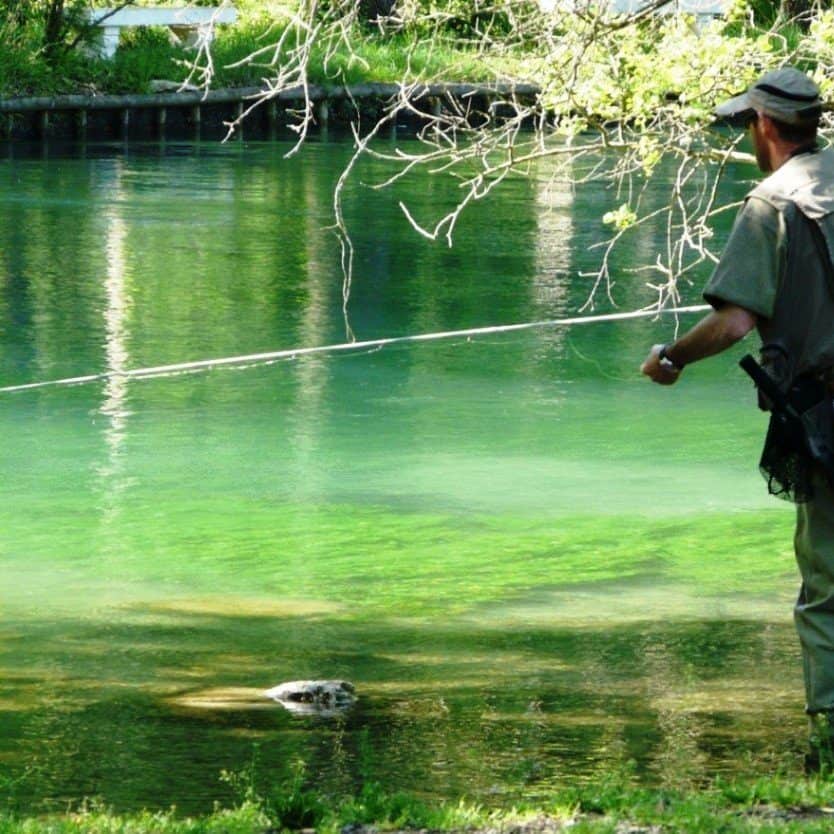 Les modèles de canne en fonction du type de peche… – Jardingue Cannes à pêche 3,6 m 7 sections portable poche télescopique