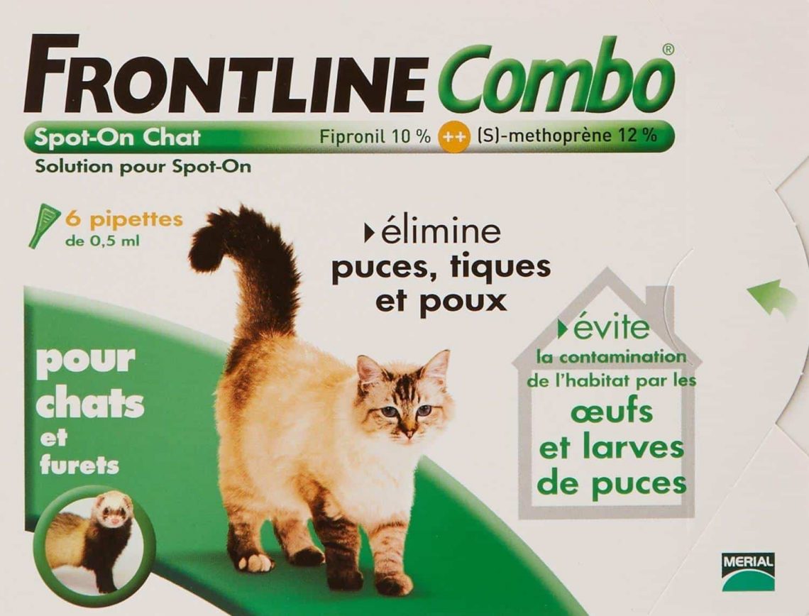 Antiparasitaire pour chat quels anti puce et anti tique choisir ? Jardingue