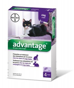 bayer-advantage-5
