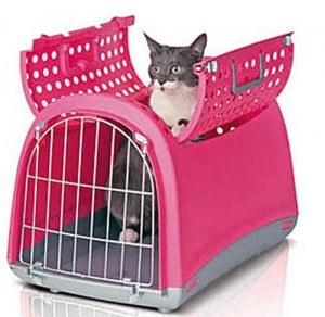 caisse-pliable-pour-chat