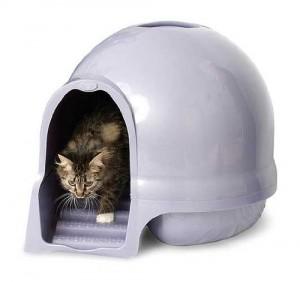 confort-litiere-chat