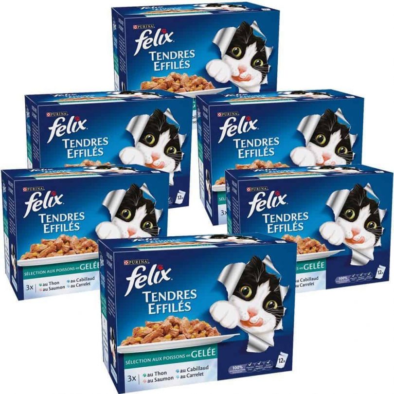 Nourriture pour chat adulte croquettes ou pâtés ? Jardingue