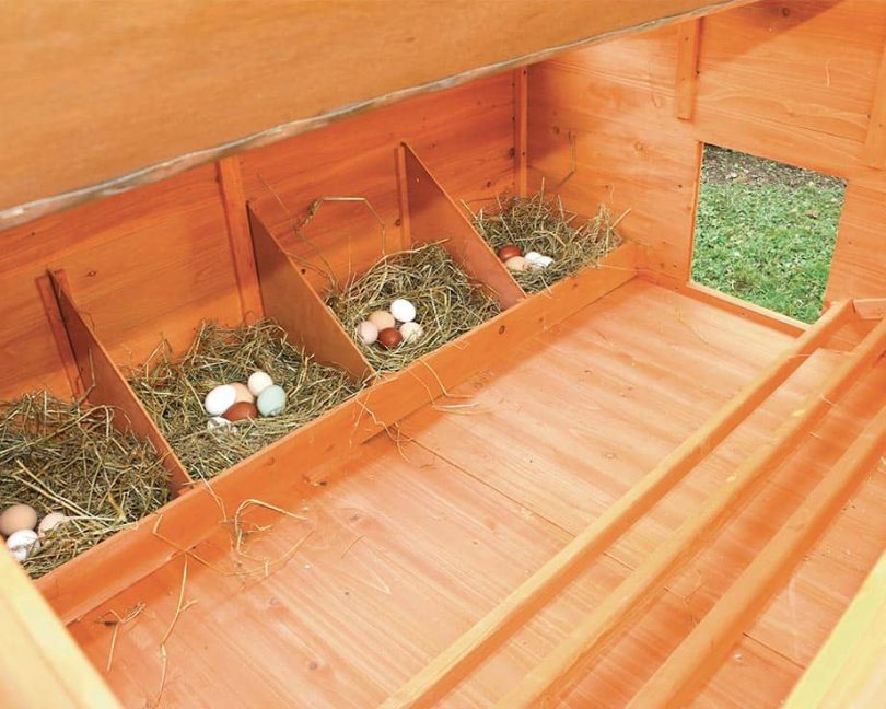 Comment Faire Un Pondoir à Poule Video Pondoir/perchoir : l’accessoire indispensable du poulailler ? – Jardingue