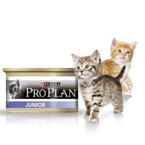 proplan-junior-5