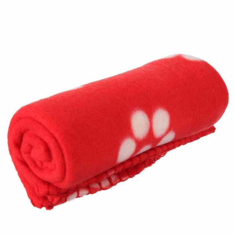 Couverture pour chat : les avantages ! �?? Jardingue