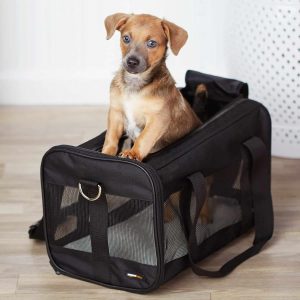 Maileg - Accessoire pour chiot, Echarpe