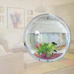 avantages-achat-aquarium