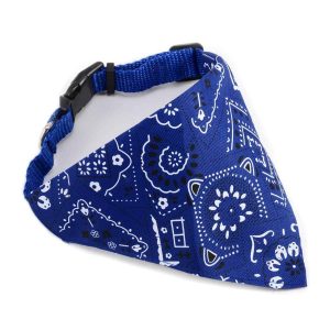 col-bandana-1