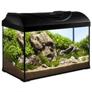 Lampe LED pour aquarium avec support extensible réglable Blanc + Bleu Pour  petit aquarium (25,2 cm, 35 à 39,9 cm réglable)