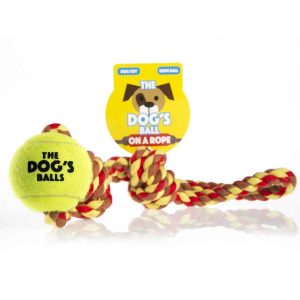 dog-balls-3