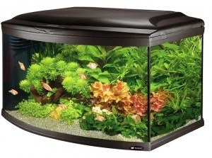 ferplast-aquarium-4