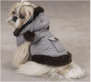 mode-vetements-chien