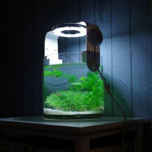 Lampe ronde étanche à LED pour Aquarium, éclairage pour réservoir de  poisson, décoration pour piscine, 1 pièce