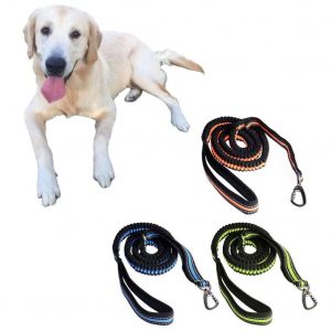 Edipets, Laisse Main Libre Chien, pour Ceinture,…