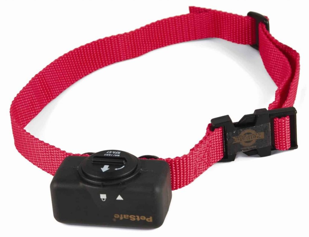 Collier anti aboiement : comment choisir – Jardingue