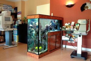 taille-aquarium