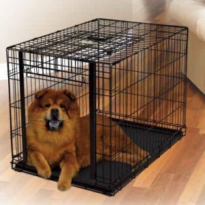 🏆 Quelles sont les meilleures cages pour chiens ? Comparatif