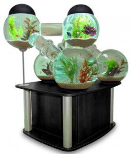taille-forme-aquarium