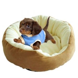 taille-panier-pour-chien