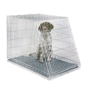 type-de-cage-pour-chien