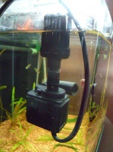 Quelle pompe d'aquarium acheter ? – Jardingue