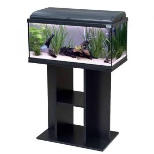 achat-aquarium