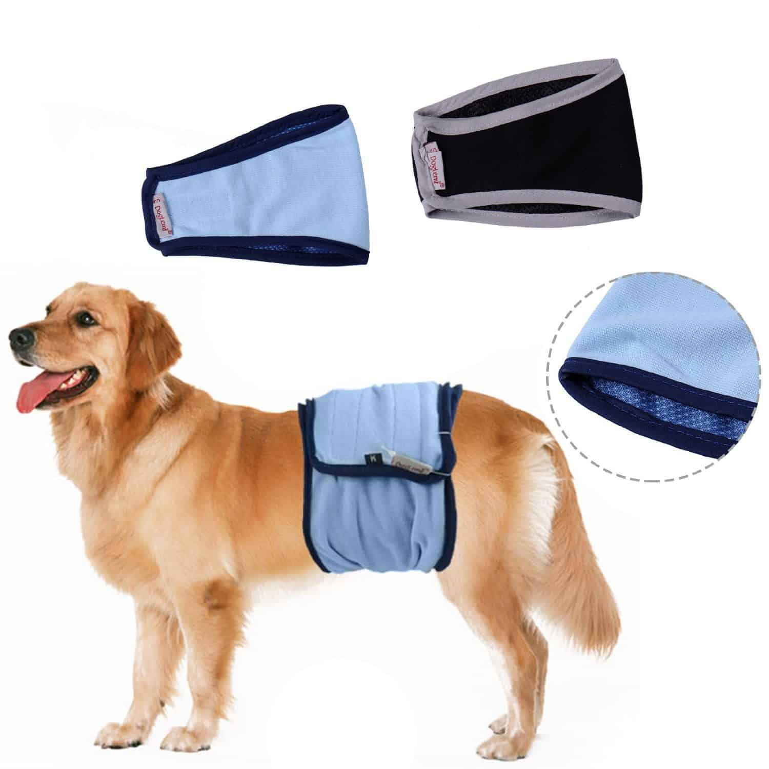 Couche pour chien les avantages Jardingue