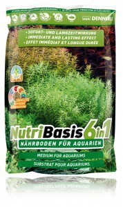 dernnerle-nutribasis-2