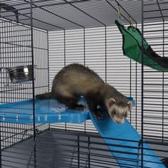 dimension-cage-furet