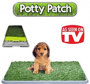 potty-patch-1