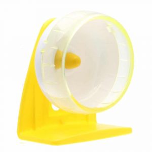 roue-exercice-3