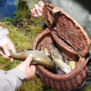 choisir-panier-pour-la-peche