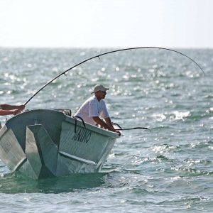 meilleures-canne-a-peche-a-la-traine