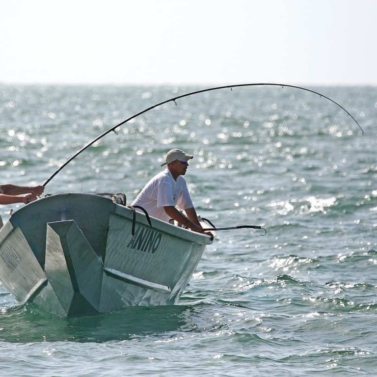 Cuillère de pêche à la traîne Sele 55 avec plume blanche