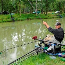 modeles-canne-a-peche-au-coup