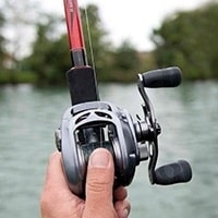 type-canne-a-peche-daiwa