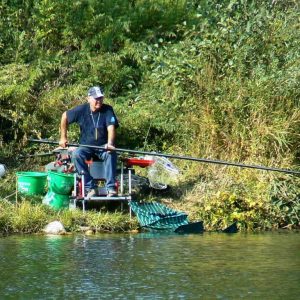 type-canne-a-peche-etang