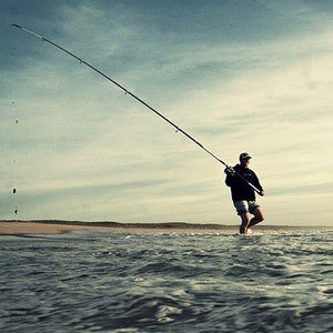 type-canne-a-peche-surfcasting